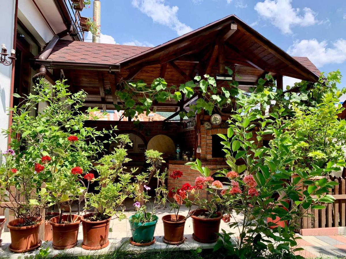 Casa Olanesti Otel Băile Olăneşti Dış mekan fotoğraf