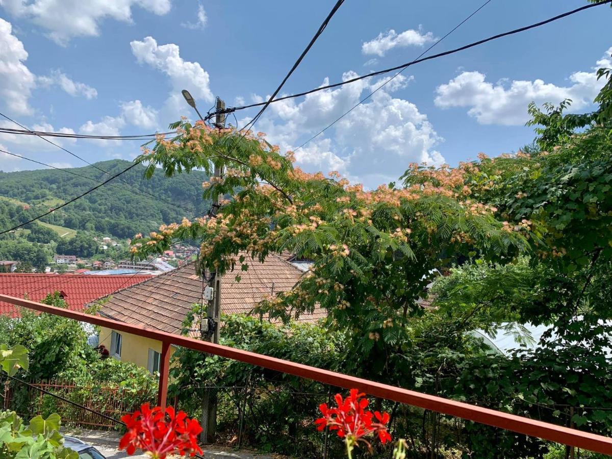 Casa Olanesti Otel Băile Olăneşti Dış mekan fotoğraf